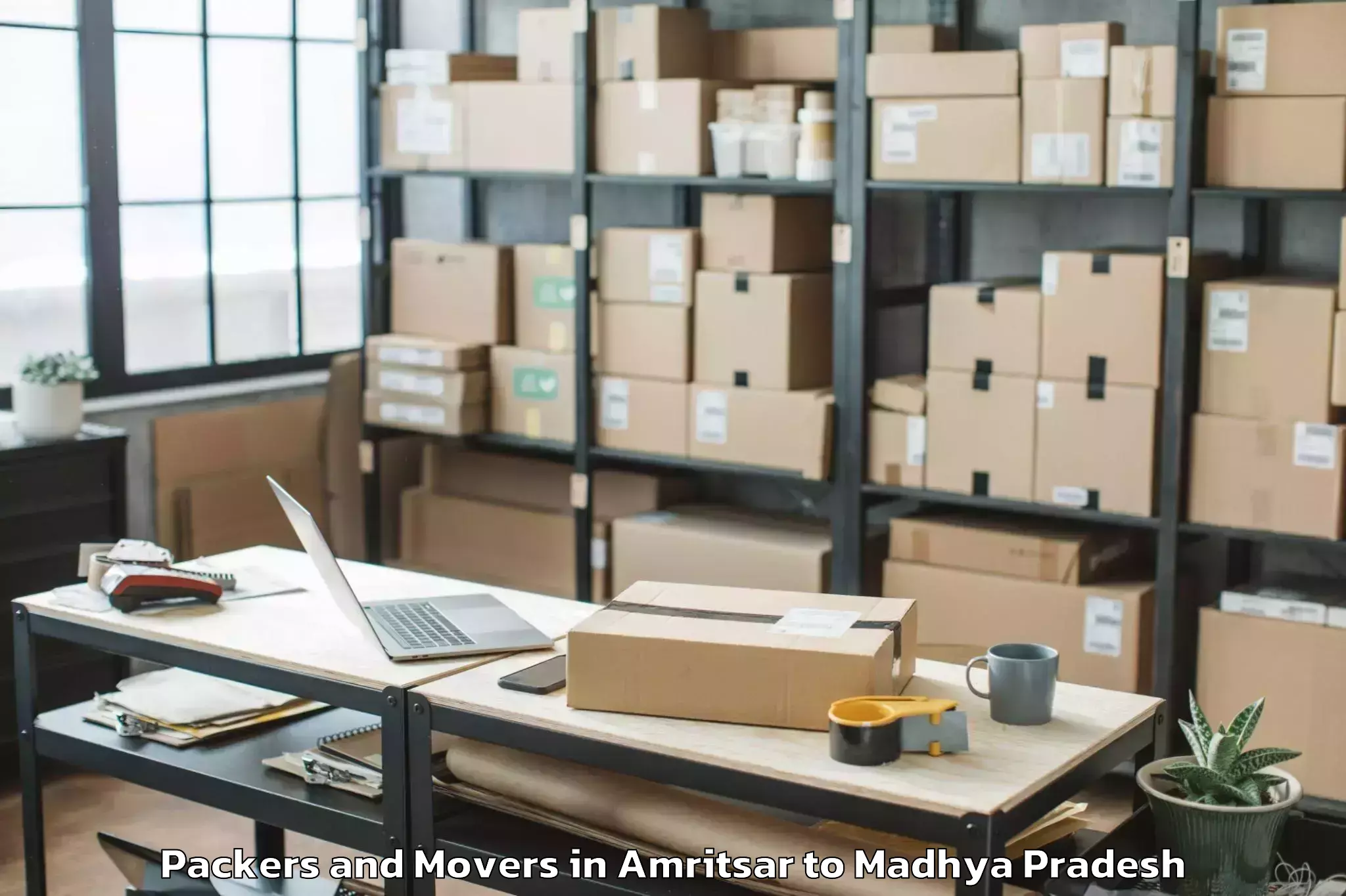 Professional Amritsar to Bhopal Packers And Movers